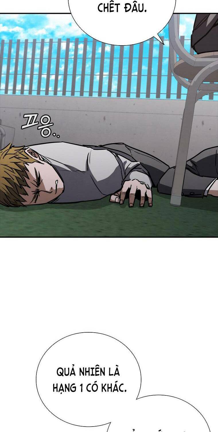 Cá Mập Wyvern Chapter 8 - Trang 2