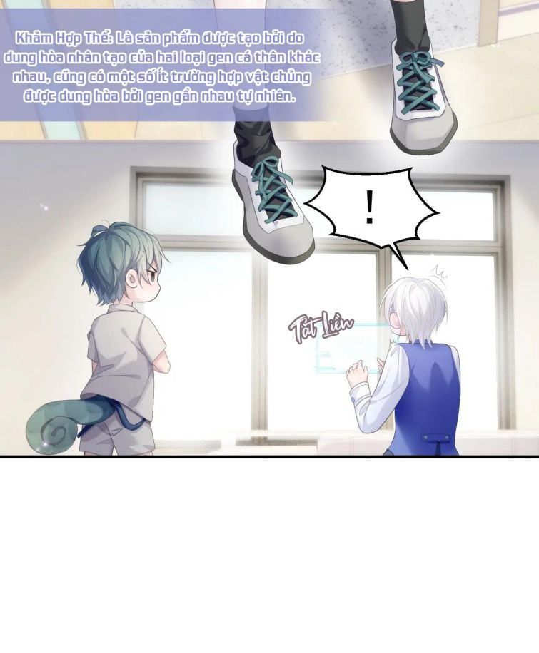 Cả Thế Giới Đều Muốn Ghép Chúng Tôi Làm Cp Mặc Dù Chúng Tôi Muốn Ly Hôn Chapter 33 - Trang 2