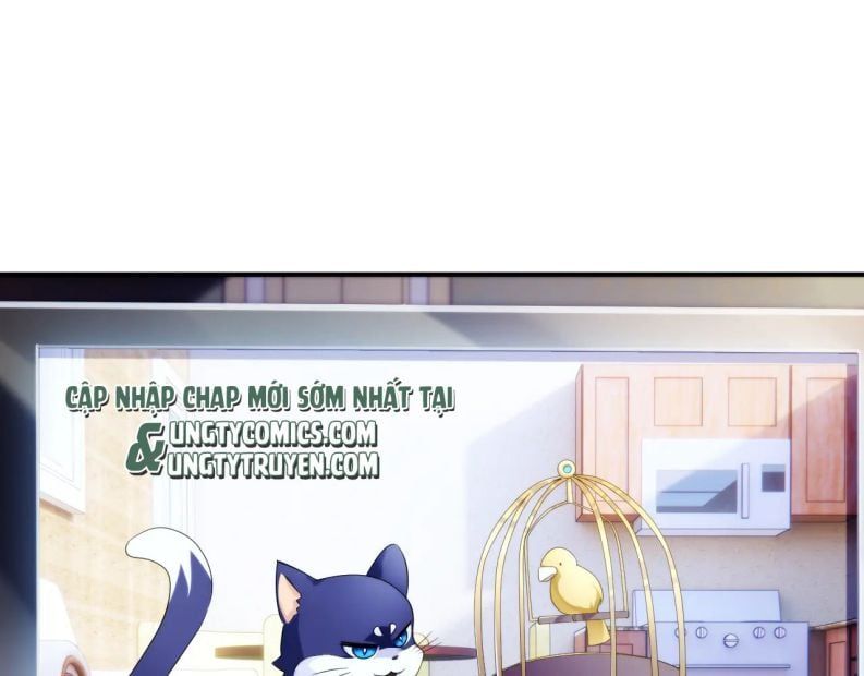 Cả Thế Giới Đều Muốn Ghép Chúng Tôi Làm Cp Mặc Dù Chúng Tôi Muốn Ly Hôn Chapter 56 - Trang 2