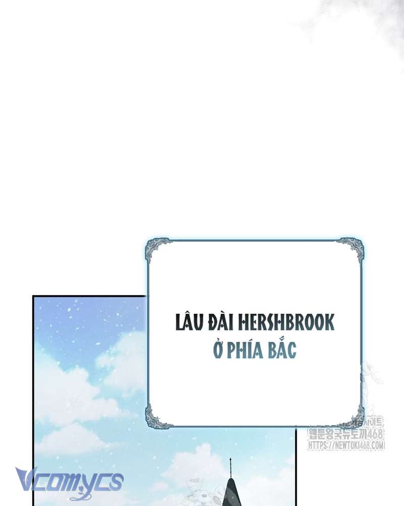 Các Nam Chính Đã Bị Nữ Phụ Cướp Mất Chapter 66 - Trang 2