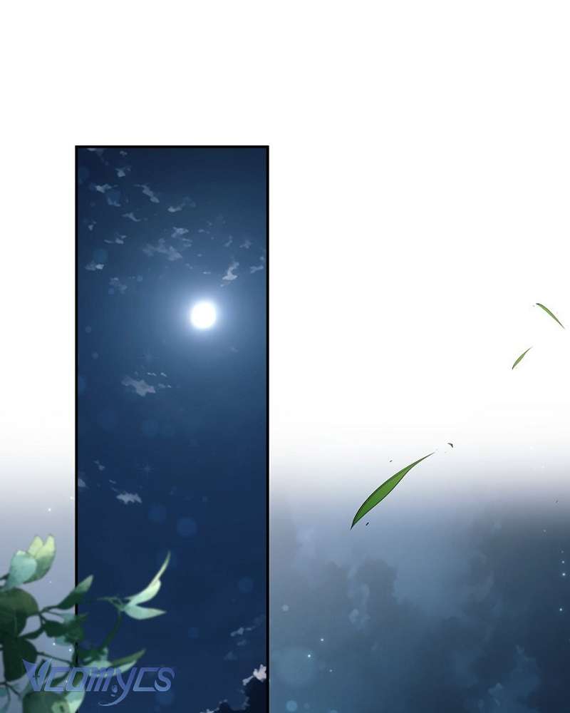 Các Nam Chính Đã Bị Nữ Phụ Cướp Mất Chapter 66 - Trang 2