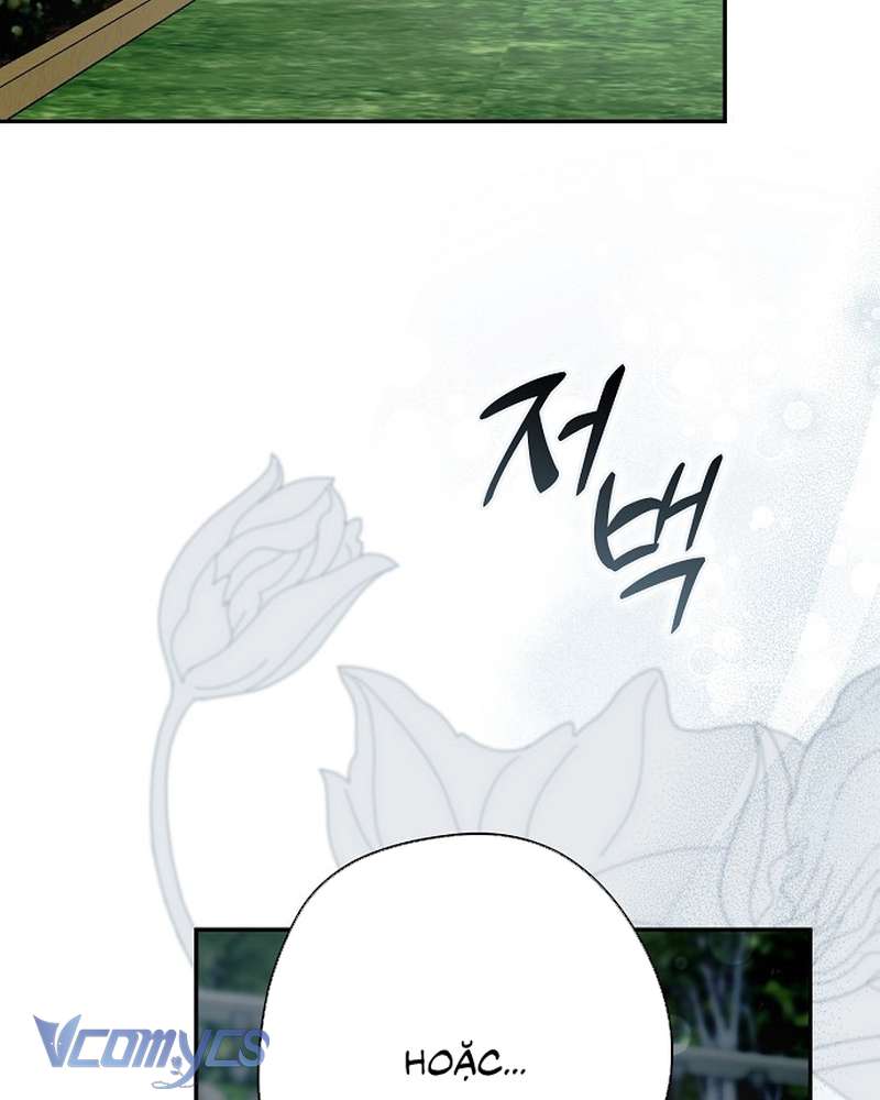 Các Nam Chính Đã Bị Nữ Phụ Cướp Mất Chapter 66 - Trang 2