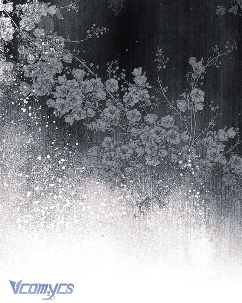 Các Nam Chính Đã Bị Nữ Phụ Cướp Mất Chapter 66 - Trang 2