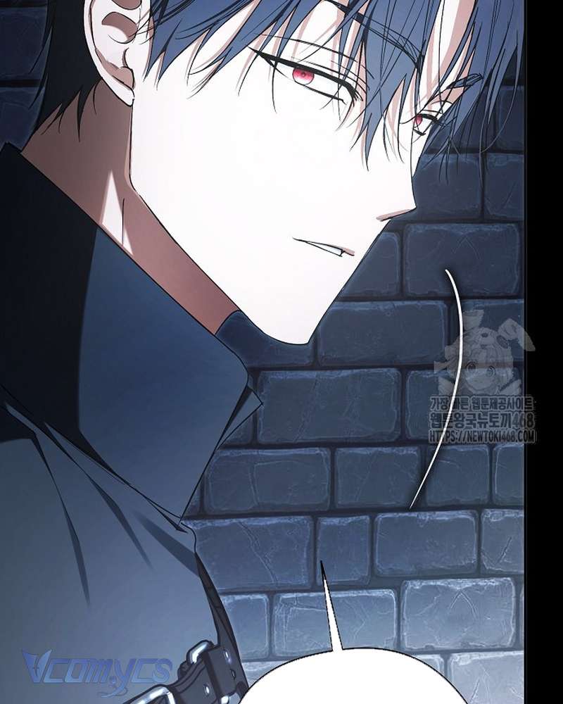 Các Nam Chính Đã Bị Nữ Phụ Cướp Mất Chapter 69 - Trang 2