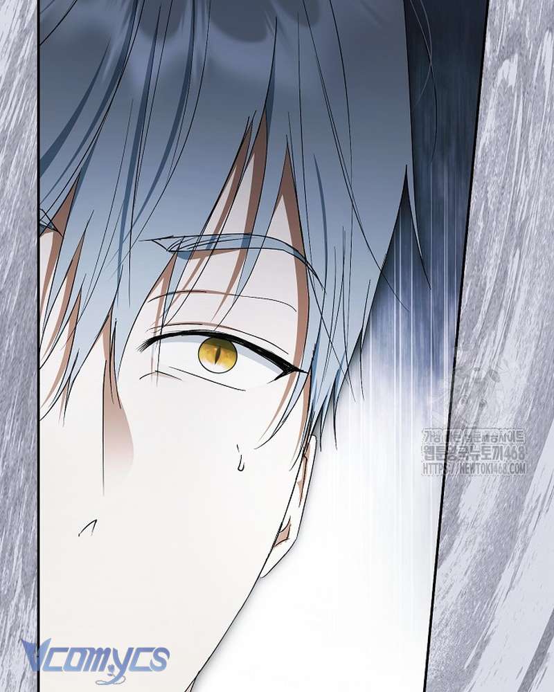 Các Nam Chính Đã Bị Nữ Phụ Cướp Mất Chapter 69 - Trang 2