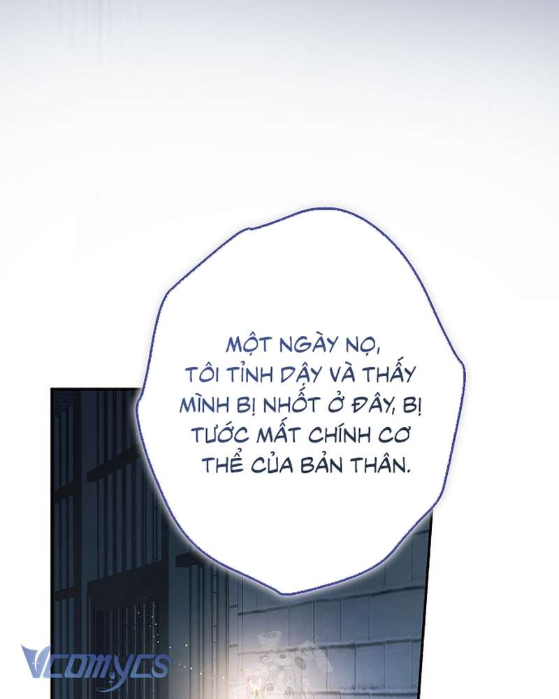 Các Nam Chính Đã Bị Nữ Phụ Cướp Mất Chapter 69 - Trang 2