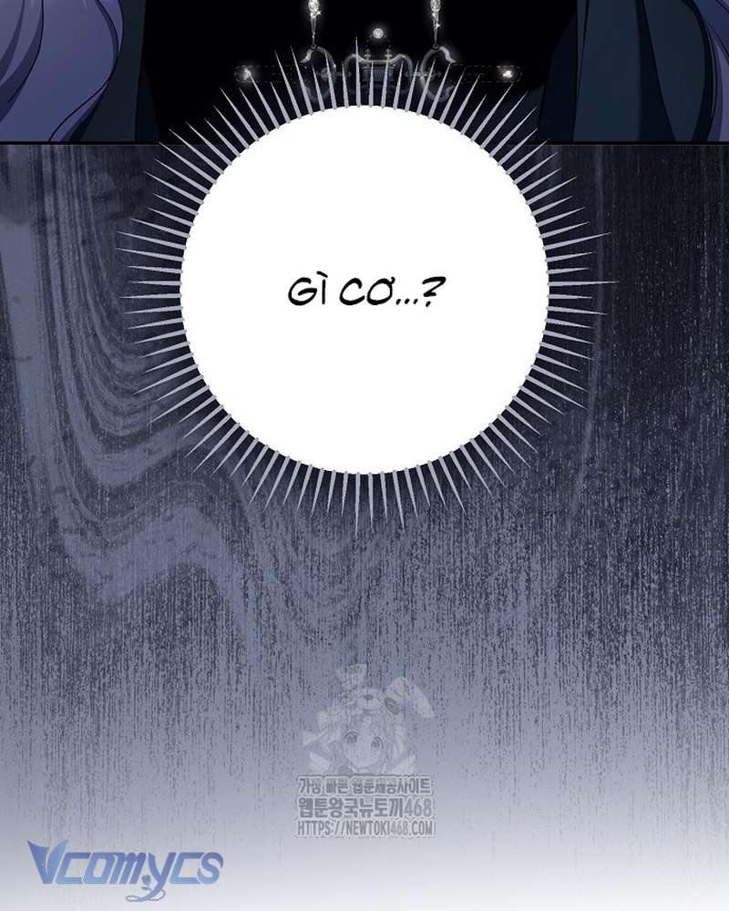 Các Nam Chính Đã Bị Nữ Phụ Cướp Mất Chapter 69 - Trang 2