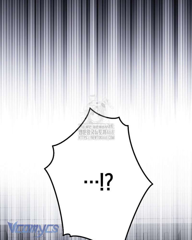 Các Nam Chính Đã Bị Nữ Phụ Cướp Mất Chapter 69 - Trang 2