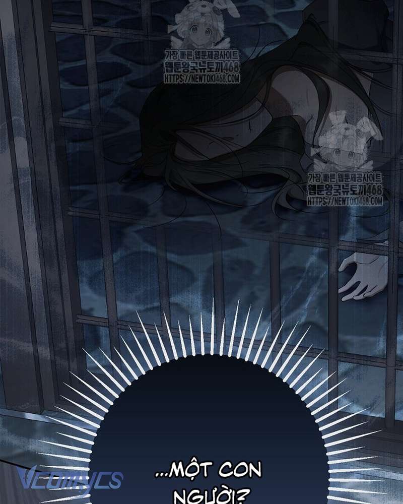 Các Nam Chính Đã Bị Nữ Phụ Cướp Mất Chapter 69 - Trang 2