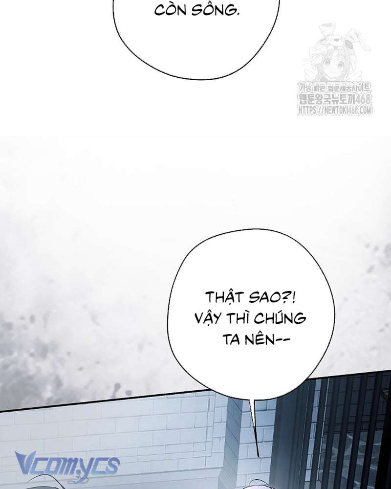 Các Nam Chính Đã Bị Nữ Phụ Cướp Mất Chapter 69 - Trang 2
