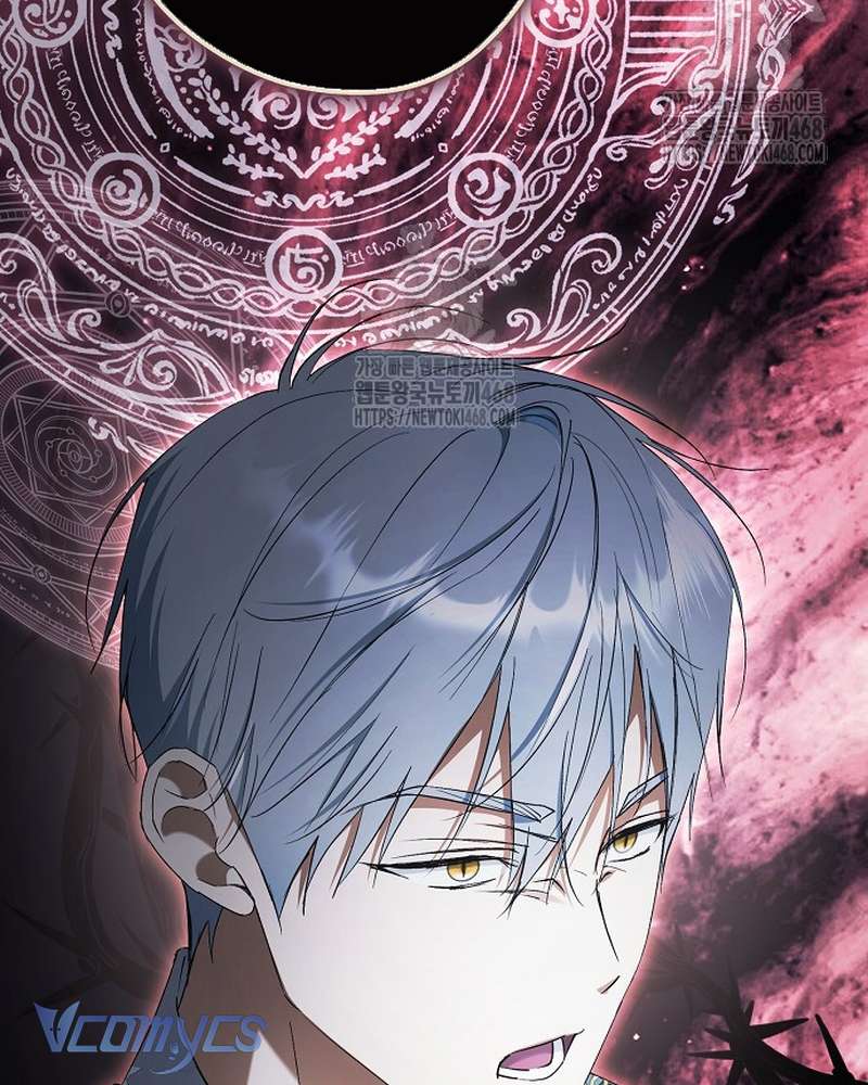 Các Nam Chính Đã Bị Nữ Phụ Cướp Mất Chapter 69 - Trang 2