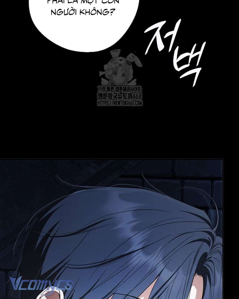 Các Nam Chính Đã Bị Nữ Phụ Cướp Mất Chapter 69 - Trang 2