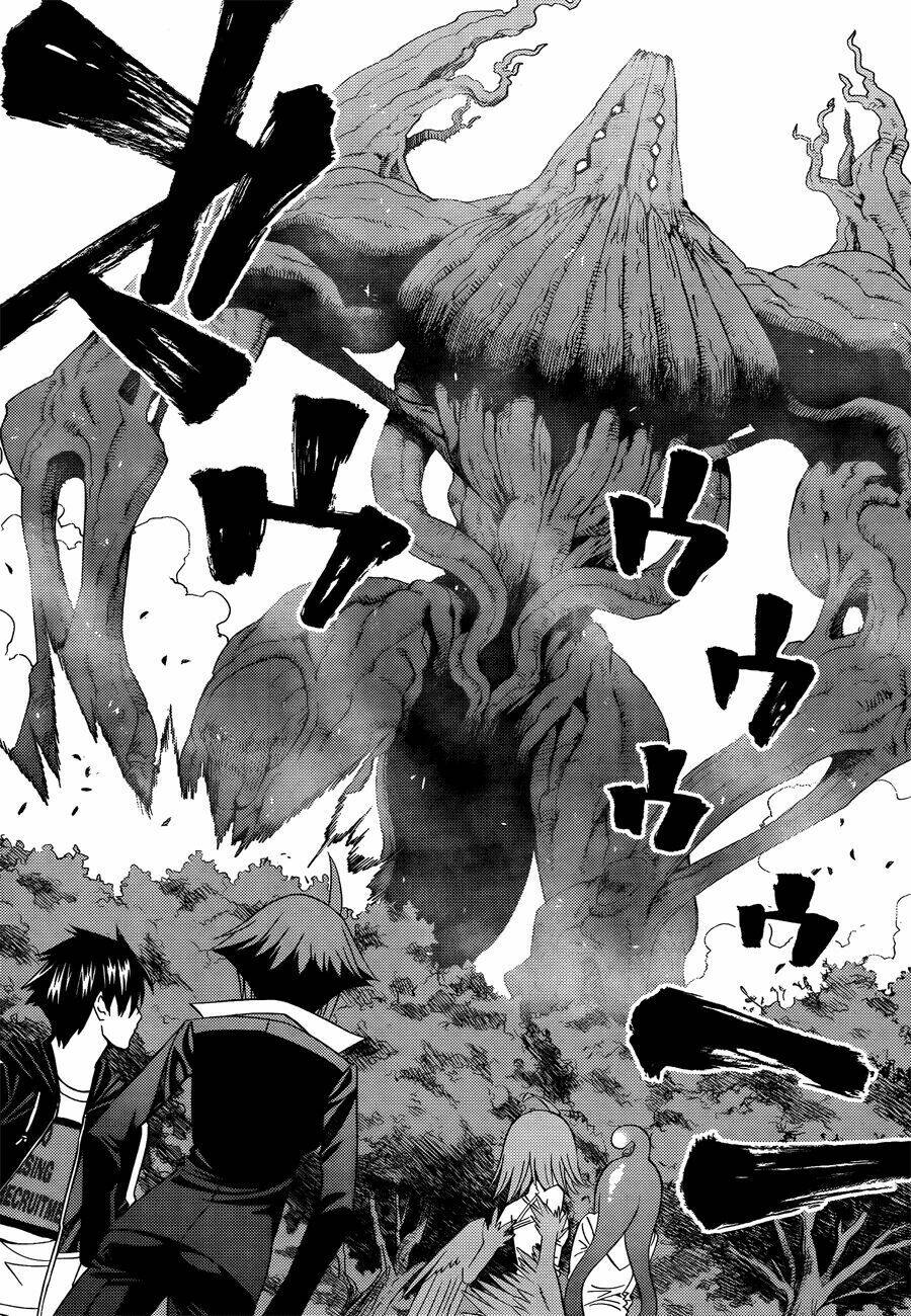 Các Nàng Thú Yêu Chapter 20 - Trang 2