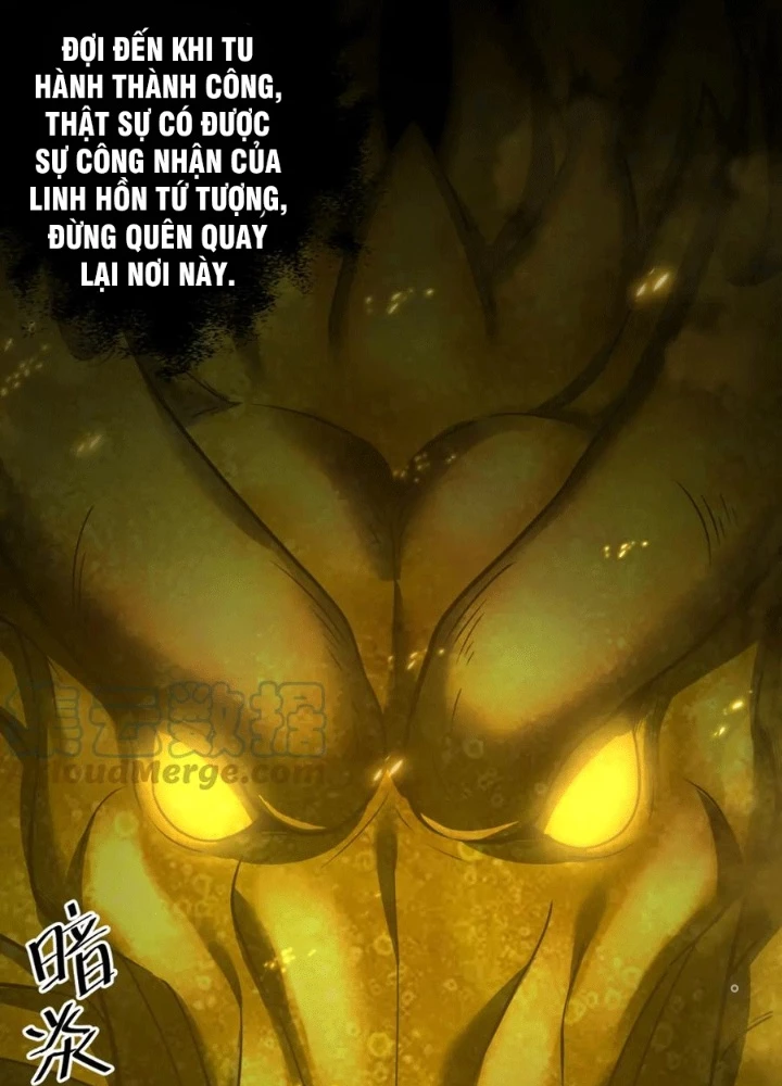 Các Ngươi Tu Tiên Còn Ta Rút Thẻ Chapter 27 - Trang 2