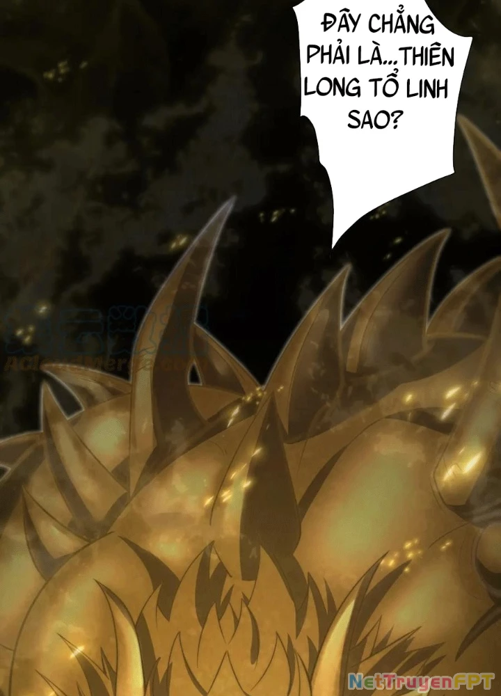 Các Ngươi Tu Tiên Còn Ta Rút Thẻ Chapter 27 - Trang 2