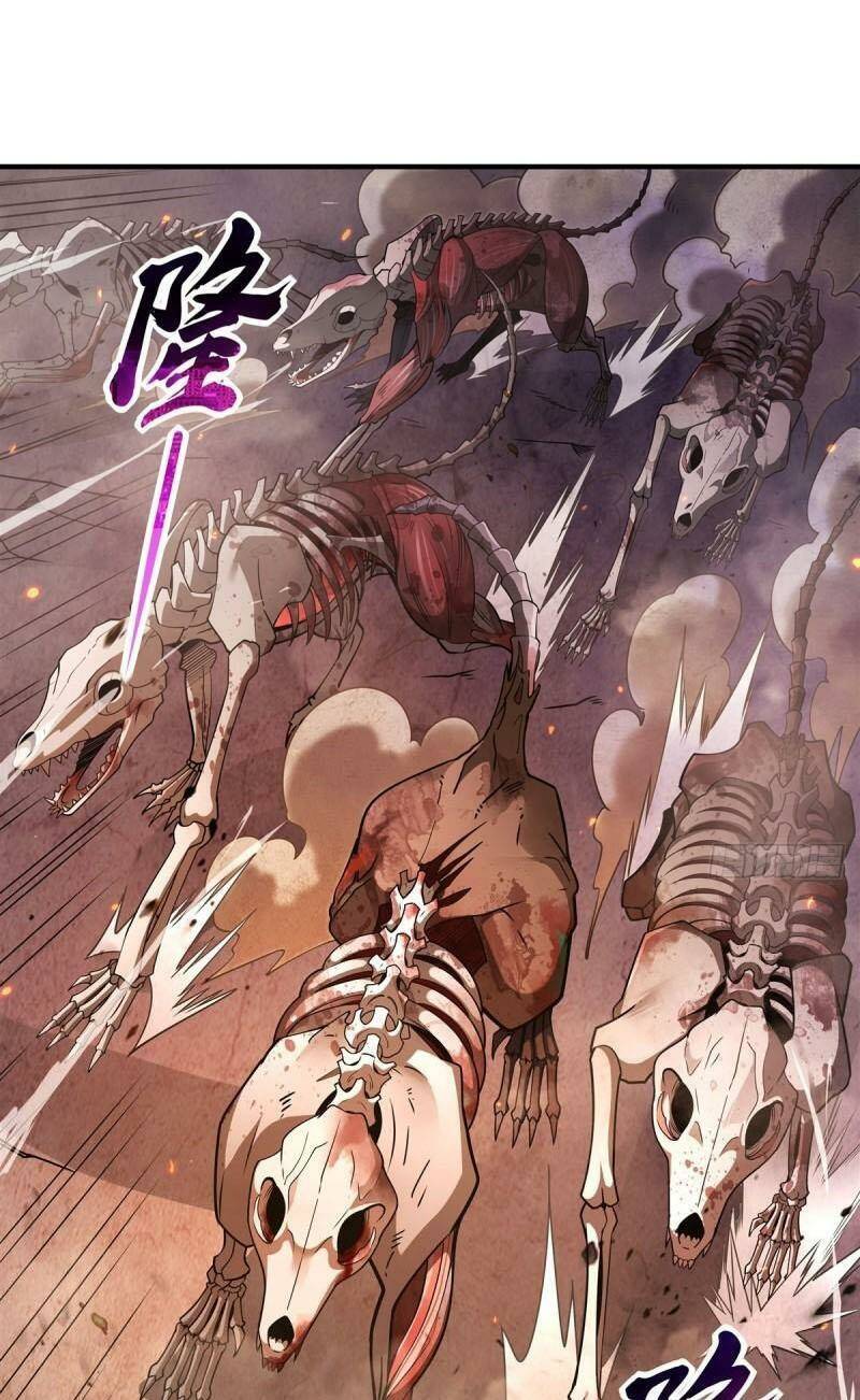 Các Nữ Đồ Đệ Của Ta Đều Là Chư Thiên Đại Lão Tương Lai Chapter 176 - Trang 2