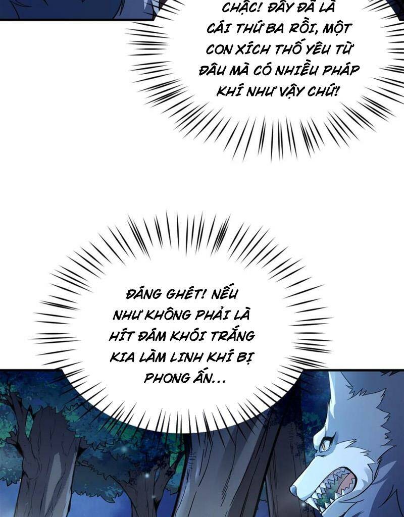 Các Nữ Đồ Đệ Của Ta Đều Là Chư Thiên Đại Lão Tương Lai Chapter 193 - Trang 2