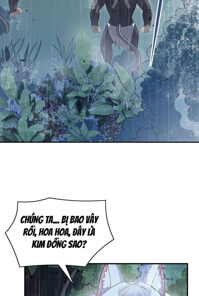 Các Nữ Đồ Đệ Của Ta Đều Là Chư Thiên Đại Lão Tương Lai Chapter 227 - Trang 2