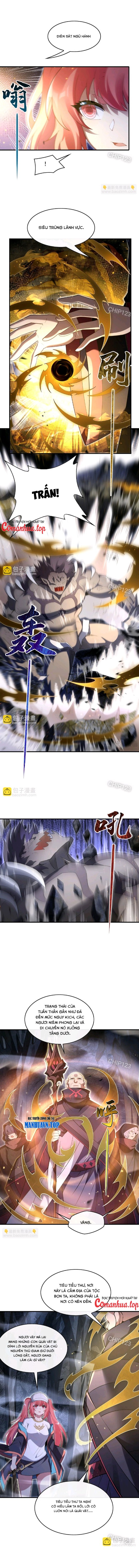 Các Nữ Đồ Đệ Của Ta Đều Là Chư Thiên Đại Lão Tương Lai Chapter 275 - Trang 2