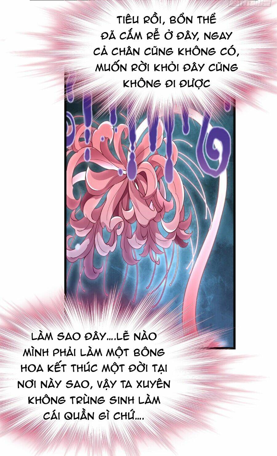 Các Nữ Đồ Đệ Của Ta Đều Là Chư Thiên Đại Lão Tương Lai Chapter 92 - Trang 2