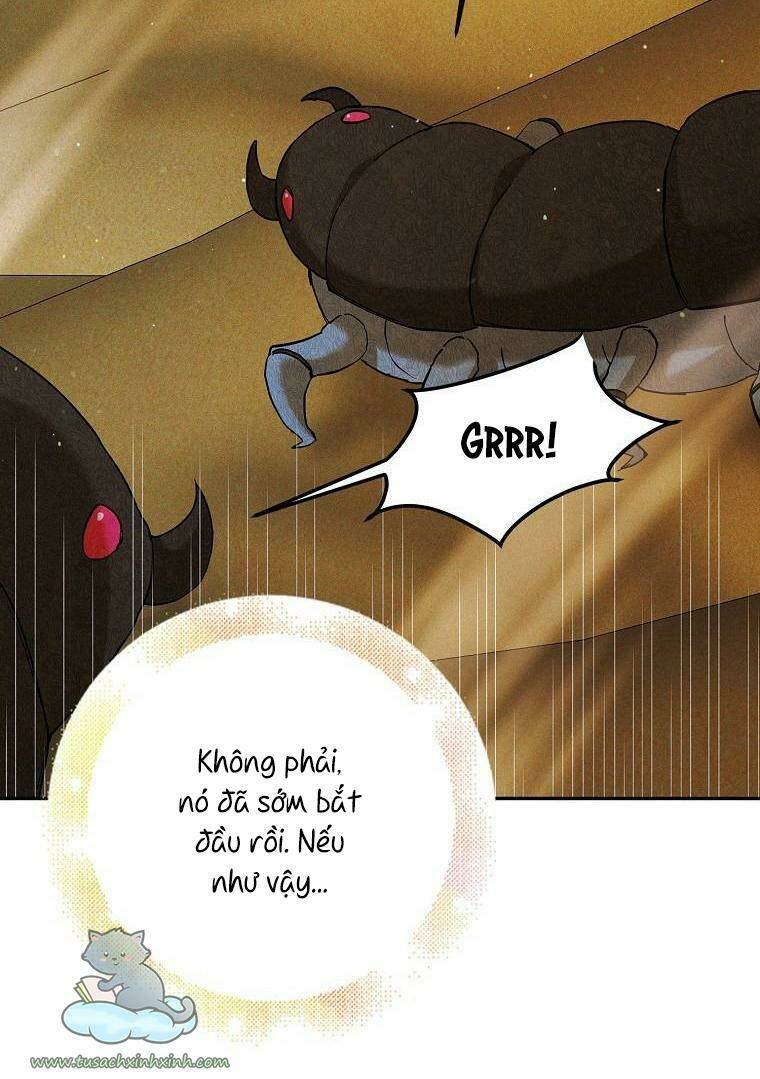 Cách Để Em Bảo Vệ Anh Chapter 58 - Trang 2