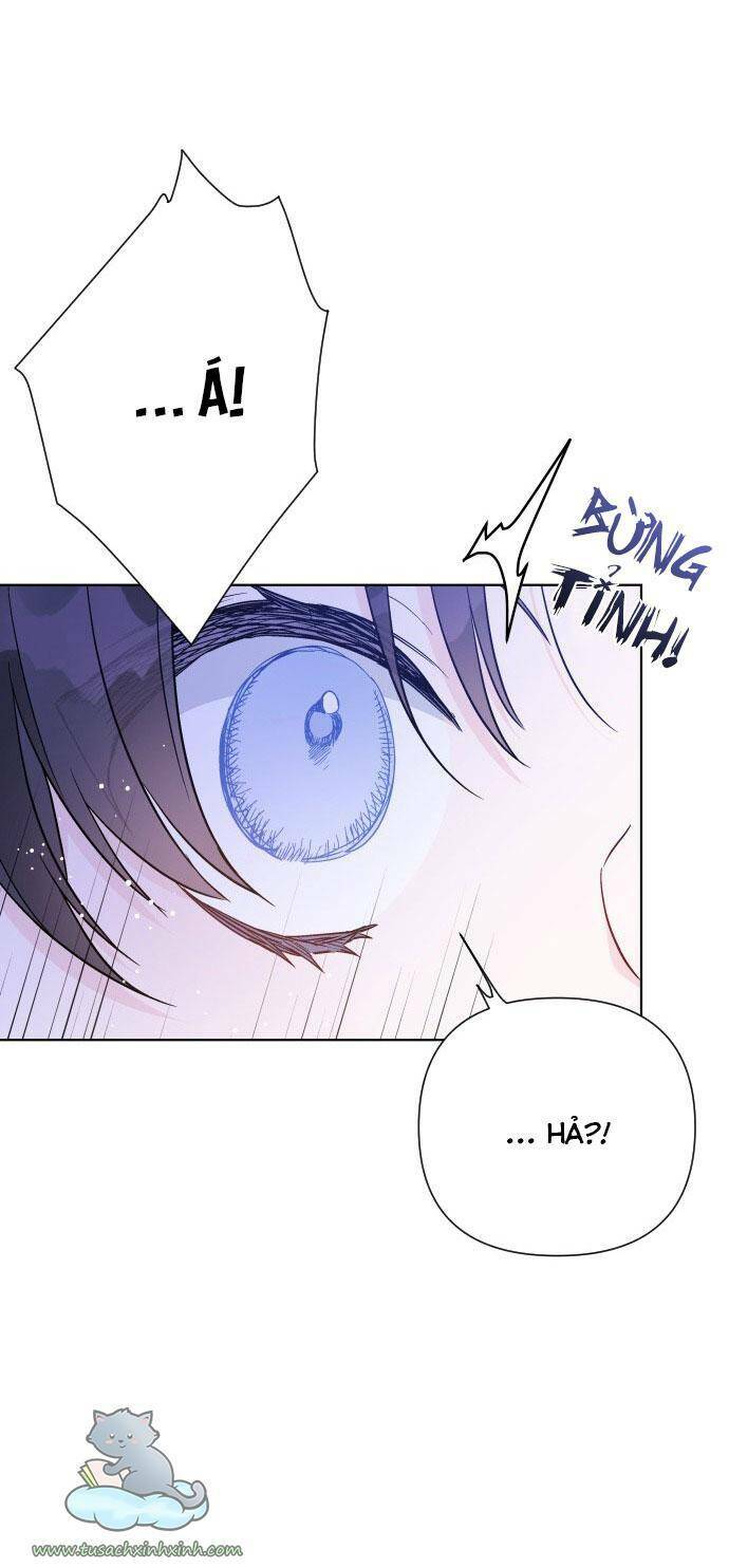 Cách Hiệp Sĩ Sống Như Một Tiểu Thư Quyền Quý Chapter 60 - Trang 2