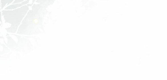 Cách Hiệp Sĩ Sống Như Một Tiểu Thư Quyền Quý Chapter 97.2 - Trang 2