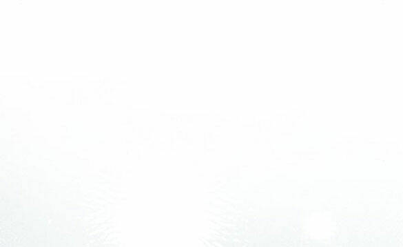 Cách Hiệp Sĩ Sống Như Một Tiểu Thư Quyền Quý Chapter 98.2 - Trang 2