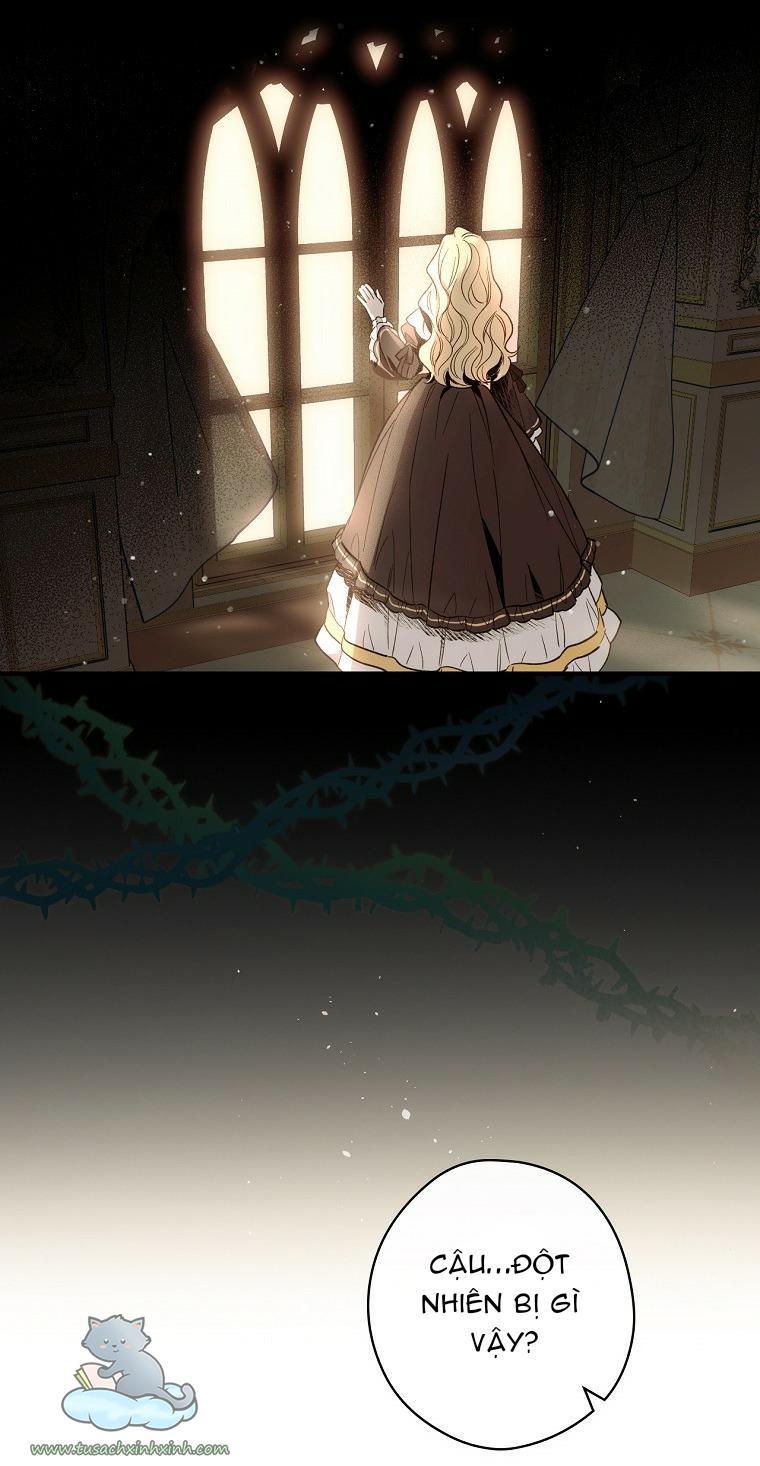 Cách Khiến Phu Quân Đứng Về Phía Tôi Chapter 4 - Trang 2