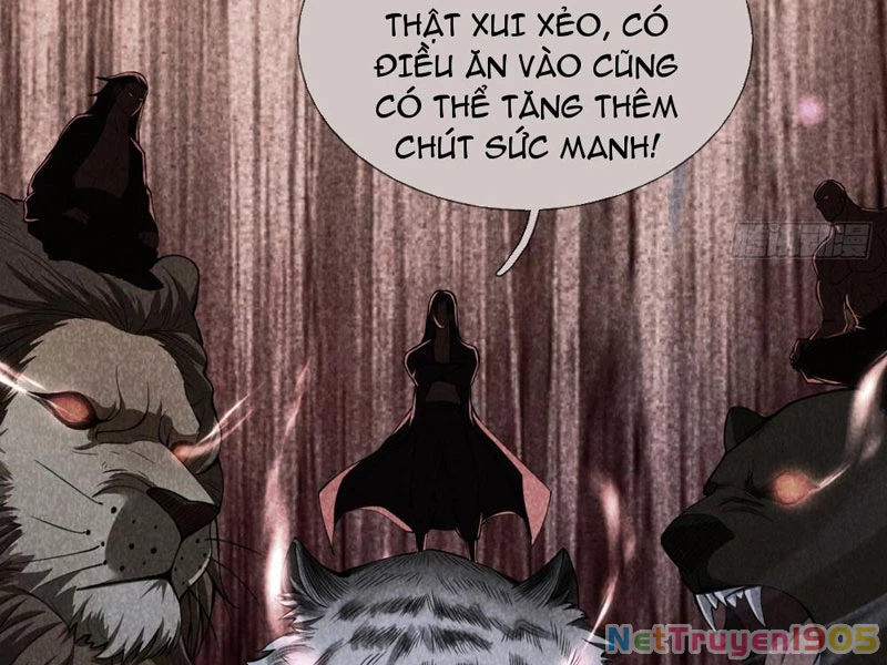 Cái Bóng Của Ta Là Loli Chapter 3 - Trang 2