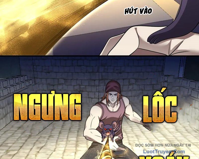 Cái Bóng Của Ta Là Loli Chapter 46 - Trang 2