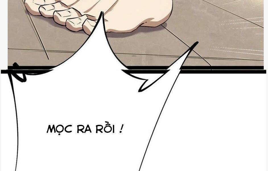 Cái Bóng Vạn Năng Chapter 99 - Trang 2