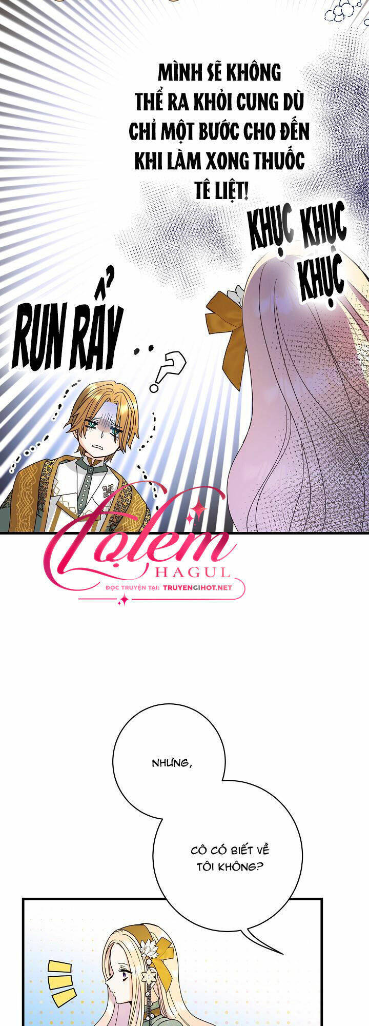 Cái Chết Thoải Mái Của Ác Nữ Công Chúa Chapter 20 - Trang 2