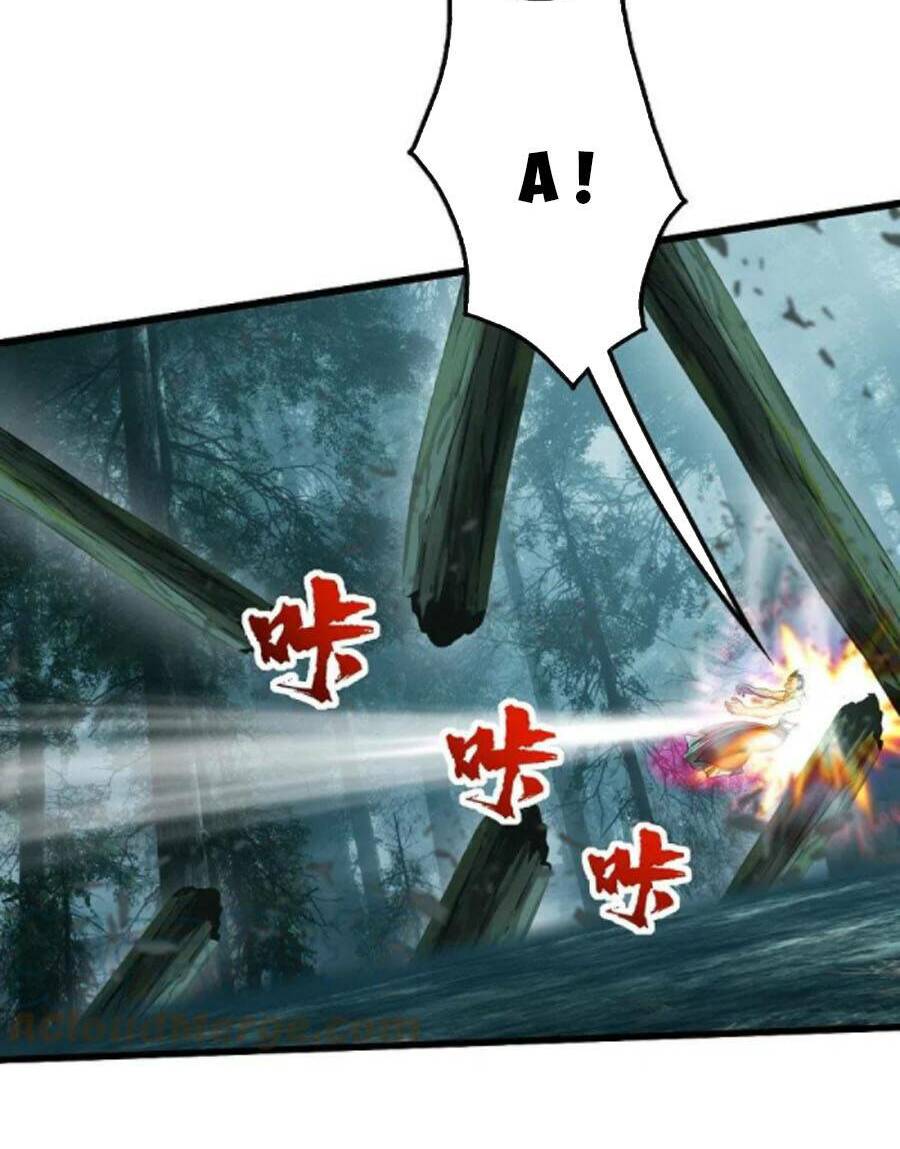 Cái Thế Đế Tôn Chapter 244 - Trang 2