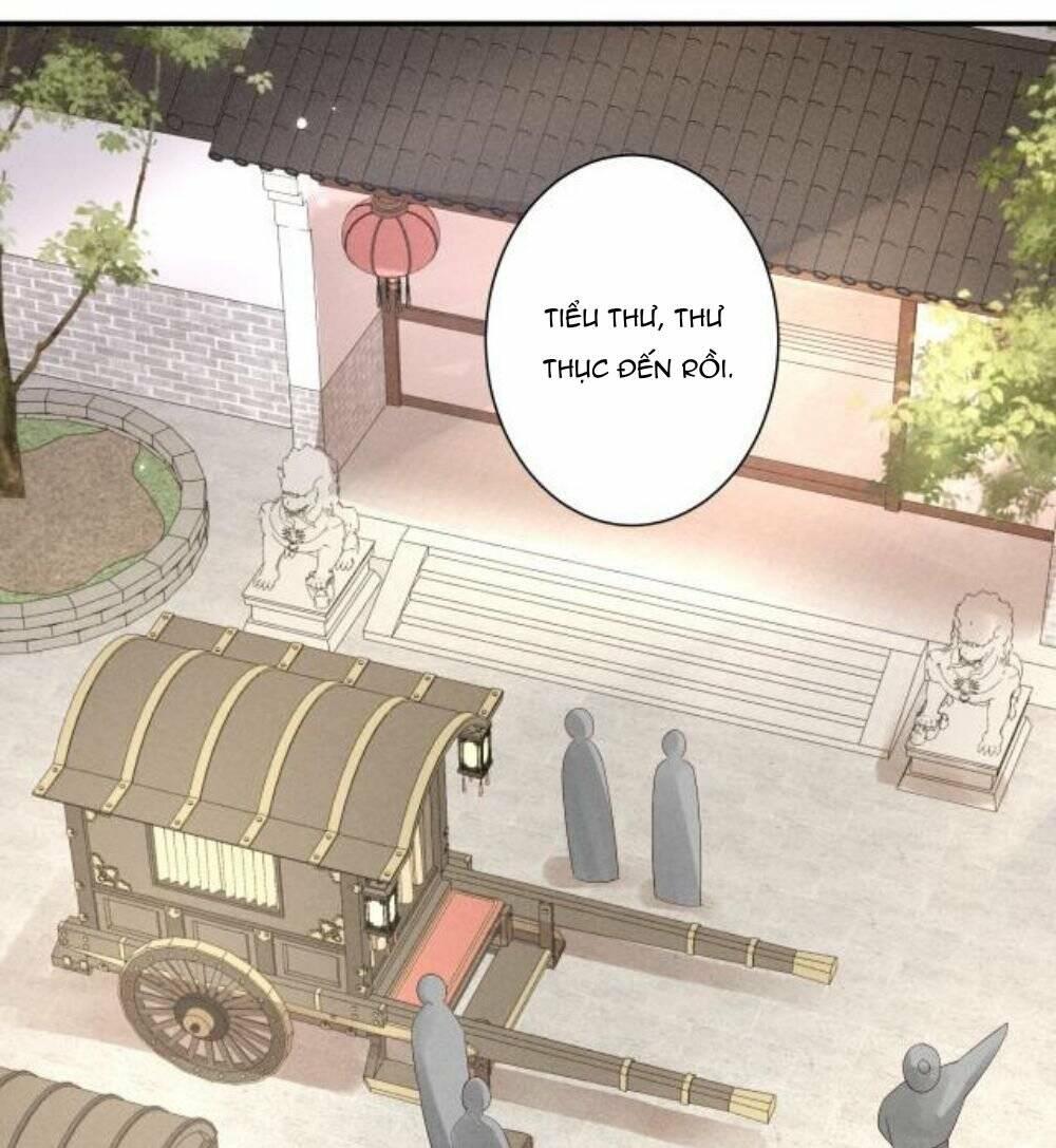 Cải Trang Thành Nữ Phụ Ác Độc Ta Được Các Nam Chính Sủng Chapter 1 - Trang 2