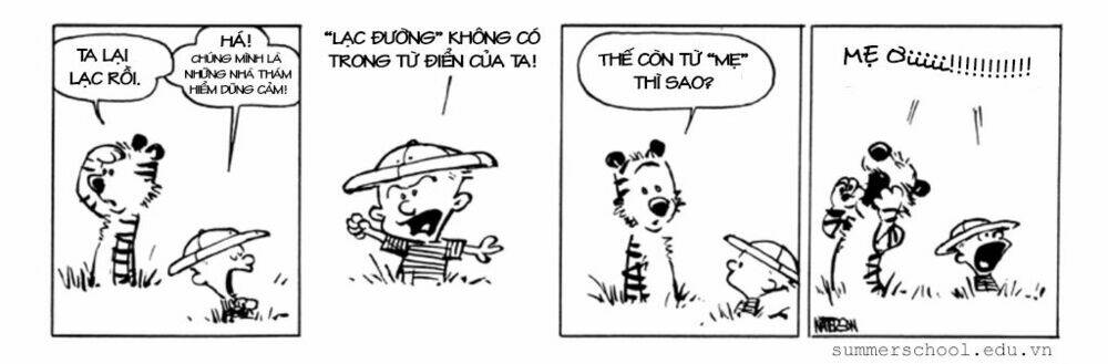 Calvin And Hobbes Chapter 39 - Trang 2