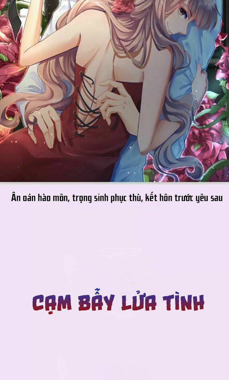 Cạm Bẫy Lửa Tình Chapter 0 - Trang 2