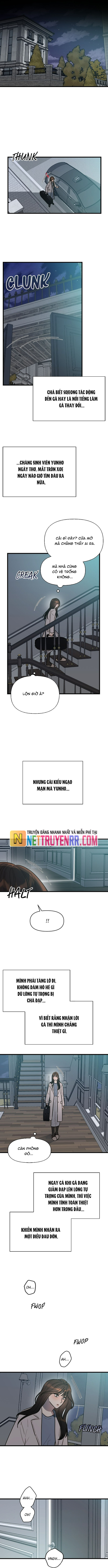 Cạm Bẫy Thanh Lịch Chapter 11 - Trang 2