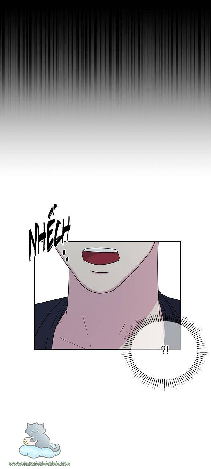 Cạm Bẫy Chapter 11 - Trang 2