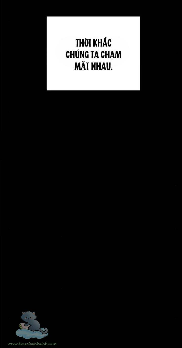 Cạm Bẫy Chapter 113 - Trang 2