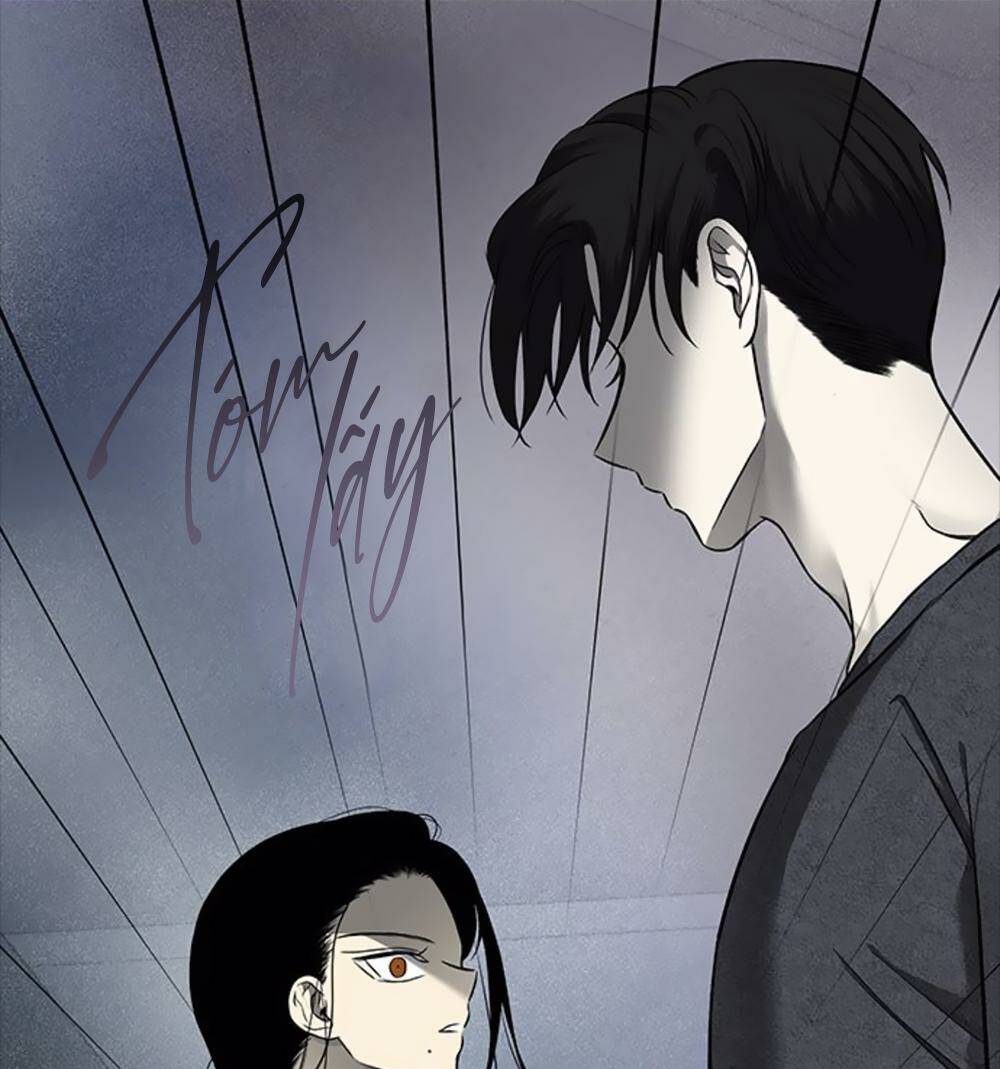 Cạm Bẫy Chapter 131 - Trang 2