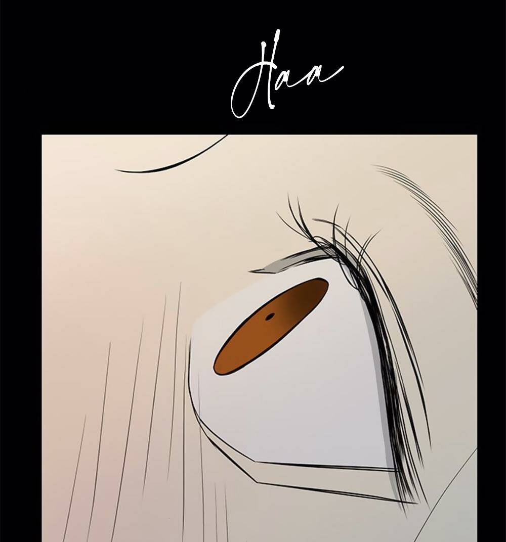 Cạm Bẫy Chapter 132 - Trang 2