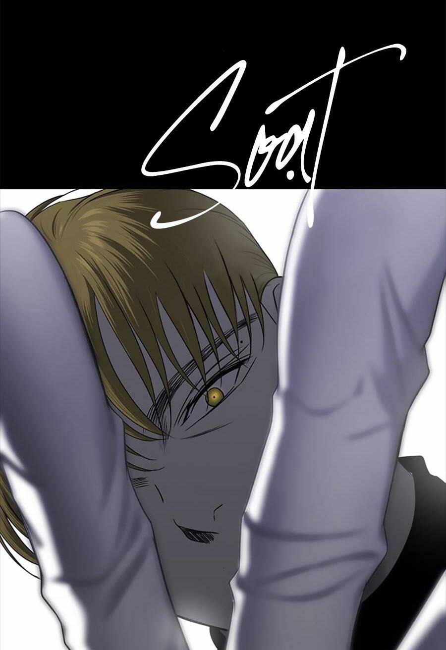 Cạm Bẫy Chapter 135 - Trang 2