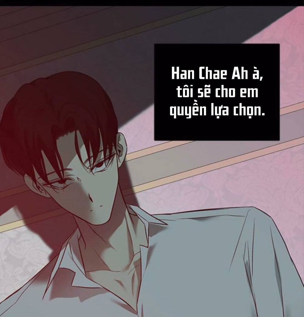 Cạm Bẫy Chapter 142 - Trang 2