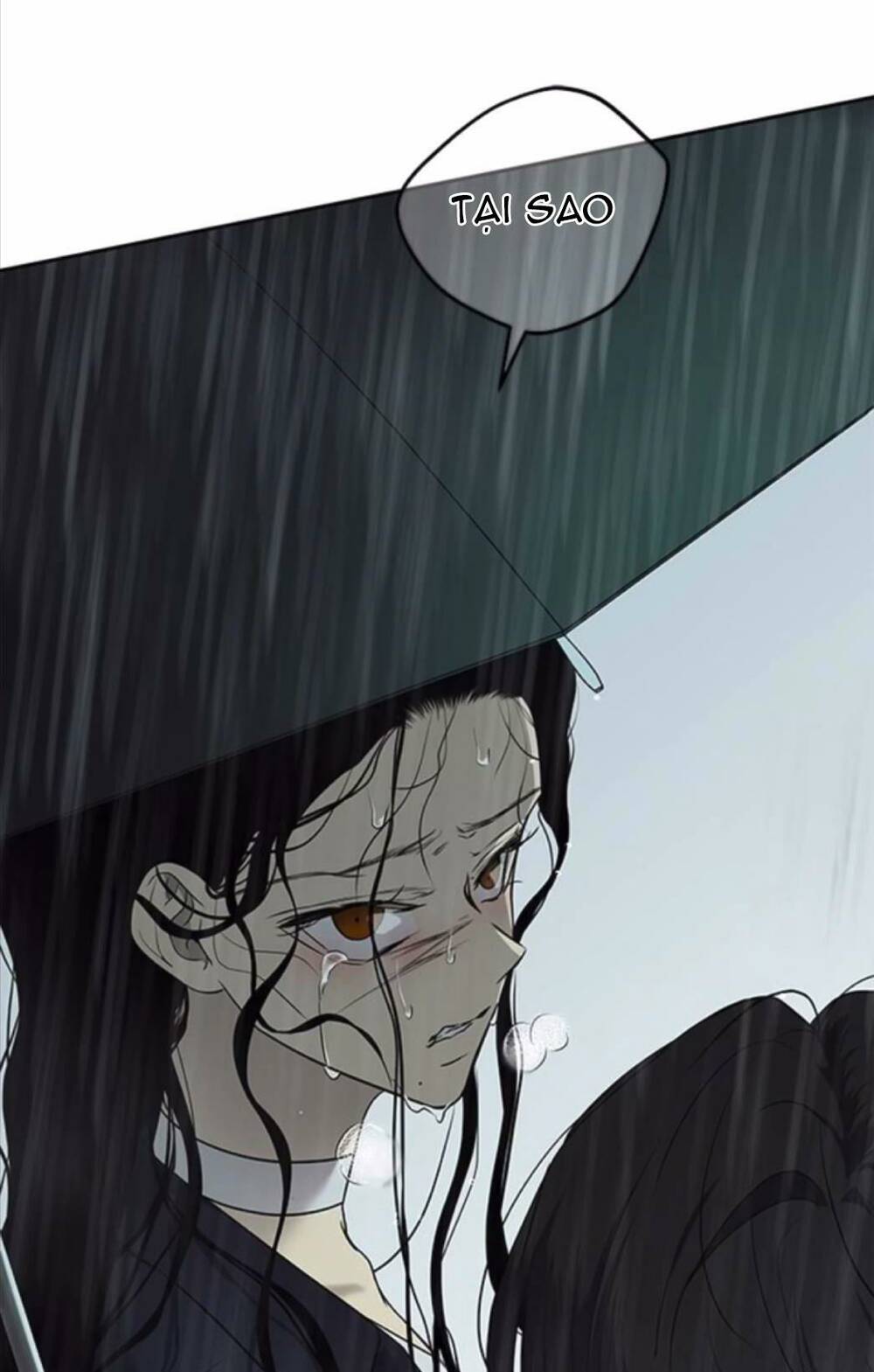 Cạm Bẫy Chapter 142 - Trang 2