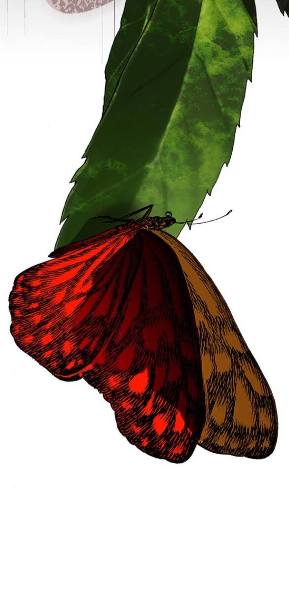 Cạm Bẫy Chapter 178 - Trang 2