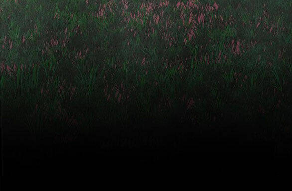 Cạm Bẫy Chapter 180.2 - Trang 2