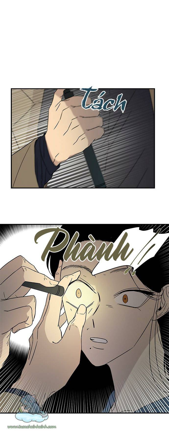 Cạm Bẫy Chapter 19 - Trang 2