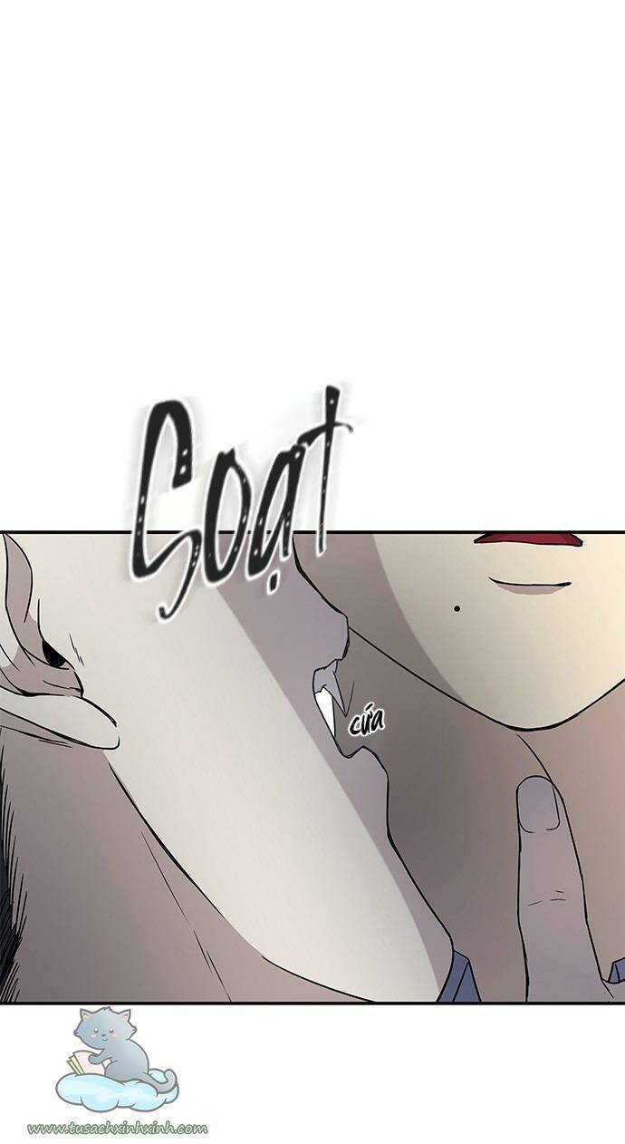 Cạm Bẫy Chapter 22 - Trang 2