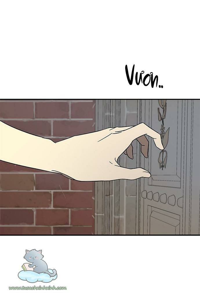 Cạm Bẫy Chapter 36 - Trang 2